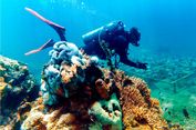 Banyu wangi Underwater Festival, Ada Gandrung Menari di Dasar Laut