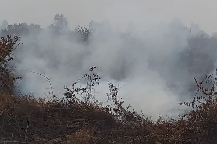 Kebakaran hutan dan lahan di Kabupaten Kepulauan Meranti, Riau, Rabu (6/3/2019).