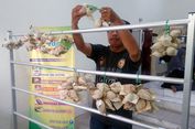 Pudak Mini, Variasi Baru Kuliner dari Gresik
