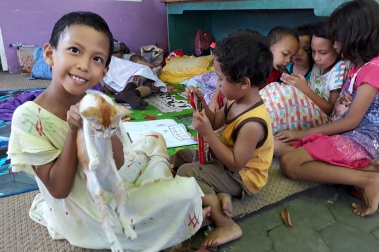 Lula dan Jenni, kucing kesayangannya. Bersama temannya, mereka bermain di teras rumah yang rindang