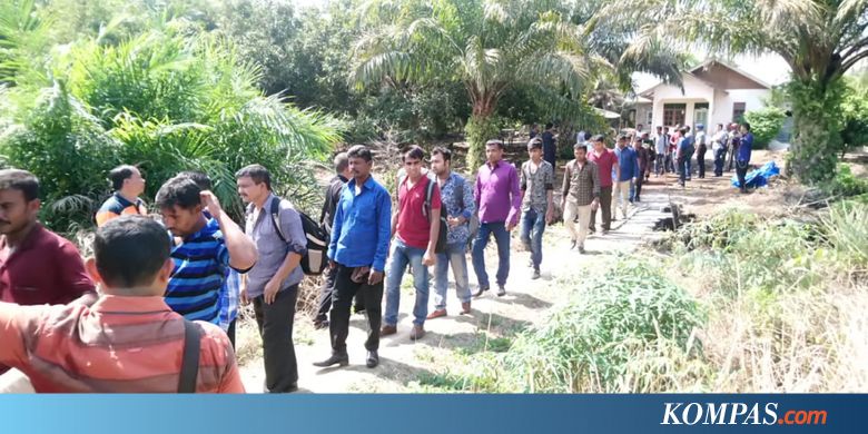 Sebelum Dikirim Ilegal ke Malaysia, 31 WNA Bangladesh Disembunyikan di Hutan Pesisir