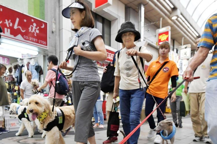 Anjing bersama pemiliknya menyebarkan pesan anti penipuan pada lansia di Jepang
