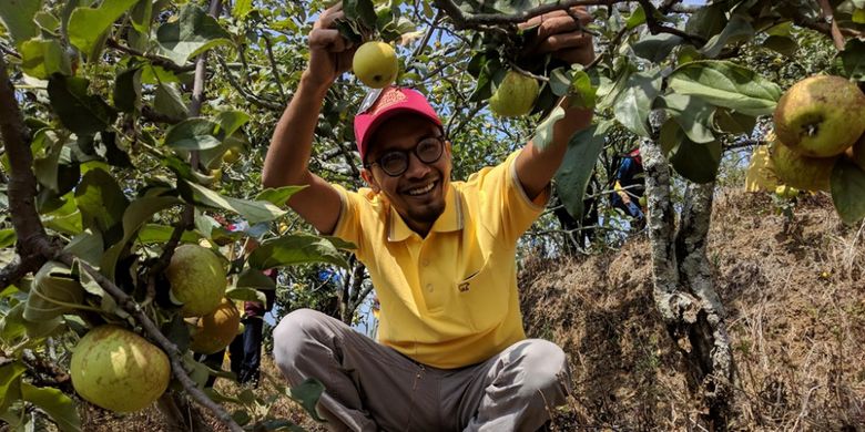 Wisatawan memanen buah apel di Desa Sumber Kondo, Kecamatan Bumi Aji, Kota Batu, Jawa Timur, Sabtu (20/10/2018).
