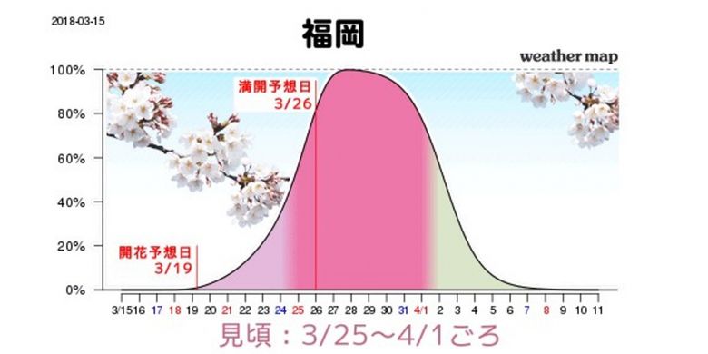 Grafik perkiraan mekarnya sakura di Fukuoka
