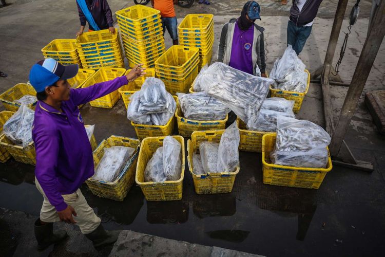 Pekerja memindahkan ikan tangkapan dari kapal untuk dilelang di Tempat Pelelangan Ikan Muara Angke, Jakarta Utara, Rabu (10/1/2018). Kementerian Kelautan dan Perikanan menaikan target perikanan tangkap tahun 2018 sebesar 9,45 juta ton dari target tahun sebelumnya yang hanya sebesar 7,8 juta ton.