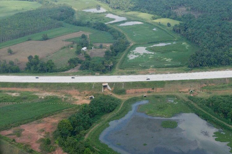 Jalan Tol Trans-Sumatera dilihat melalui pantauan udara, Minggu (2/6/2019)