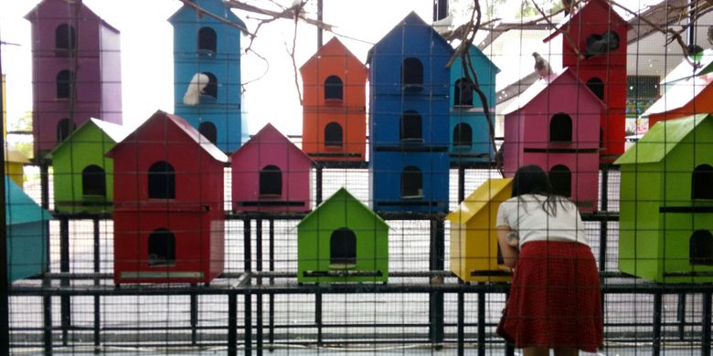 Seorang pengunjung tengah memberi makan burung dalam penangkaran burung di Rabbit Town, Sabtu (31/3/2018). Rabbit Town merupakan salah satu lokasi wisata swafoto di Jalan Rancabentang No.30, Ciumbuleuit, Kecamatan Cidadap, Kota Bandung, Jawa Barat. 