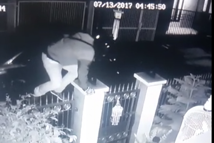Capture video CCTV aksi pencurian burung