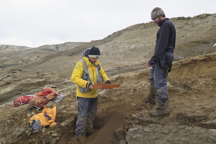 Para peneliti menggali fosil monster Loch Ness di Pulau Seymour, Antartika
