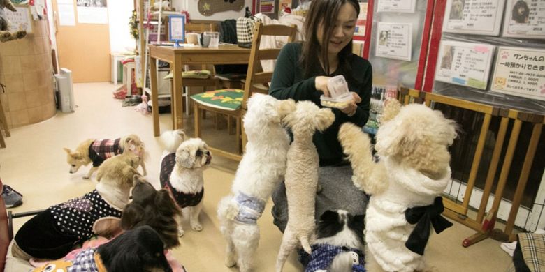 HOKOGEN CAFE(R)/SALON Dog and Cat Cafe