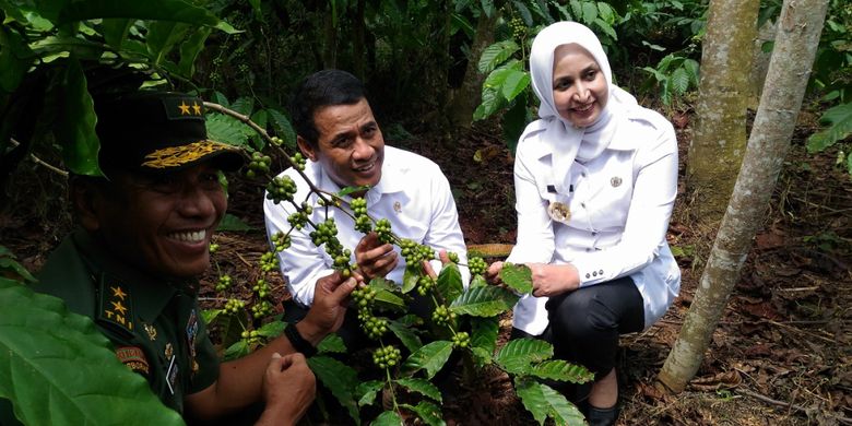 Menteri Pertanian Andi Amran Sulaiman (tengah), Asisten Teritorial Kepala Staf Angkatan Darat Mayjen TNI Supartogi, dan Bupati Jember Faida meninjau kebun kopi masyarakat di Kabupaten Jember, Rabu (23/5/2018).