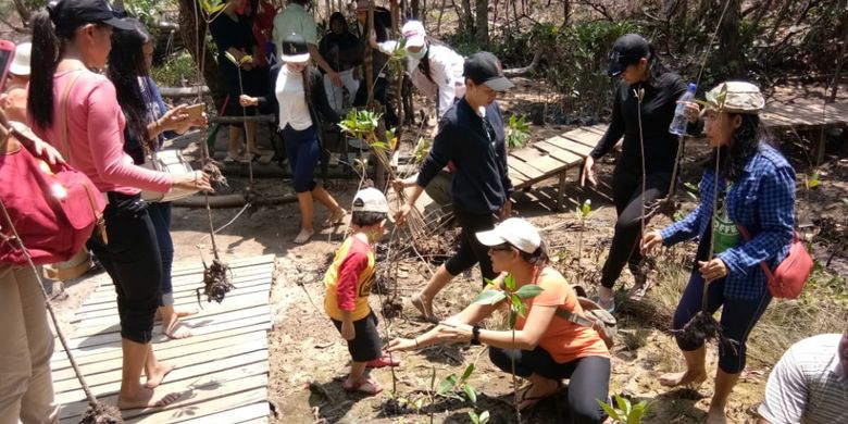 Sejumlah wisatawan yang datang ke kampung terih Nongsa ikut serta dalam melestarikan mangrove Batam ini. Selain menawarkan keindahan mangrove, destinasi ini juga memperkenalkan adat istiadat Melayu Batam yang ada di Kampung tua kampung Terih Nongsa.