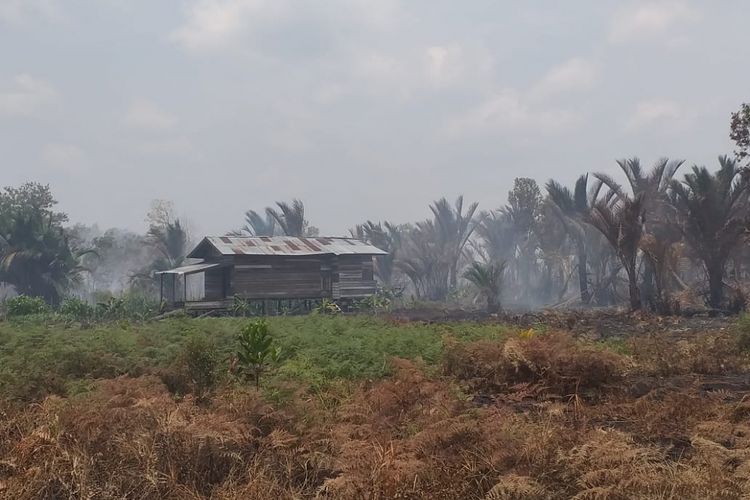 Salah satu rumah warga di Desa Kebun, Kecamatan Rangsang, Kabupaten Kepulauan Meranti, Riau, yang dikepung api karhutla, Rabu (6/3/2019).