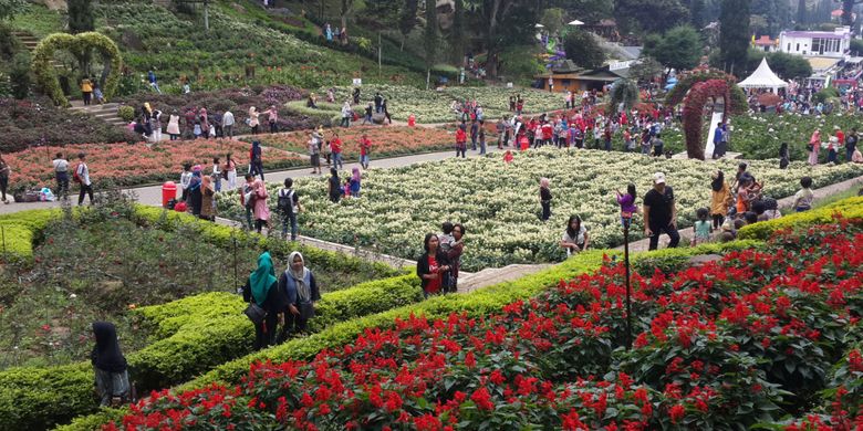 Sejumlah wisatawan saat menikmati kebun bunga di lokasi wisata Selecta, Kota Batu, Jawa Timur, Minggu (16/7/2017)