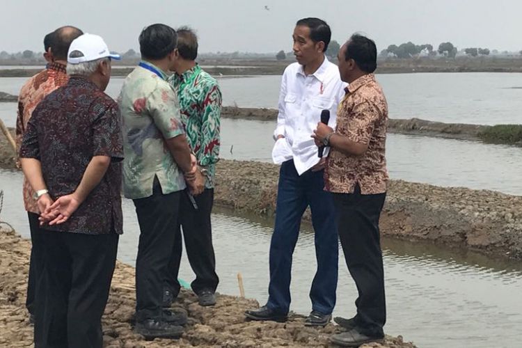 Presiden Joko Widodo saat meninjau revitalisasi tambak ikan bandeng dan udang di Muara Gembong, Kabupaten Bekasi, Jawa Barat, Rabu (1/11/2017).