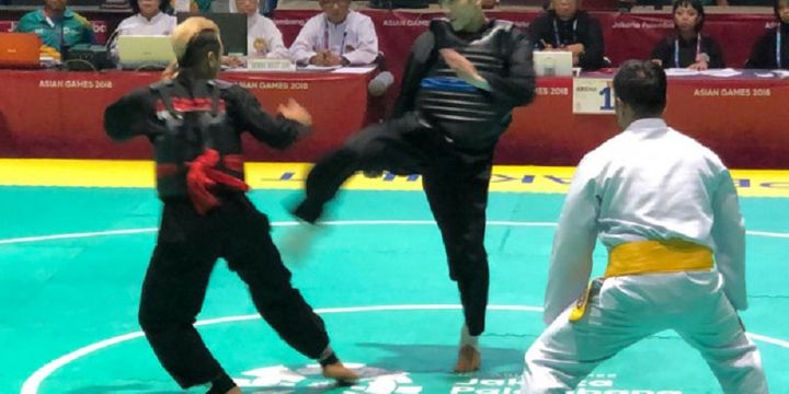 Pertarungan final kelas C 55-60 kg antara pesilat Indonesia, Hanifan Yudani Kusuma (kiri) dan pesilat Vietnam, Thai Linh Nguyen, Rabu (29/8/2018).