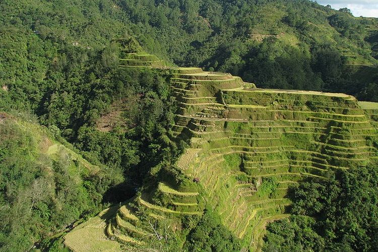 Teras Sawah Banaue di Luzon, Filipina. 