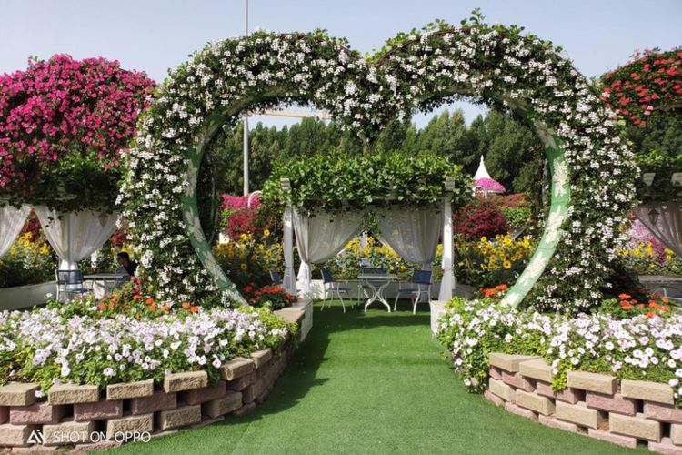 Dubai Miracle Garden, taman bunga seluas 72.000 meter persegi yang ada di Kota Dubai, Uni Emirat Arab. 