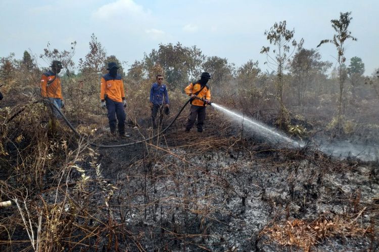 Pendinginan lokasi kebakaran hutan dan lahan di Desa Sokop, Kecamatan Rangsang, Kabupaten Kepulauan Meranti, Riau, Kamis (7/3/2019).