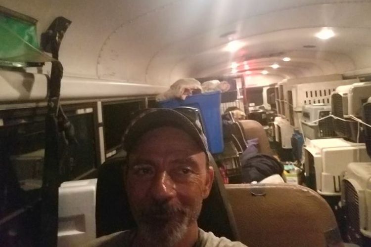 Tony Alsup mengevakuasi hewan peliharaan yang terdampak badai Florence di Amerika Serikat dengan diangkut bus sekolah. (Facebook/Tony Alsup)