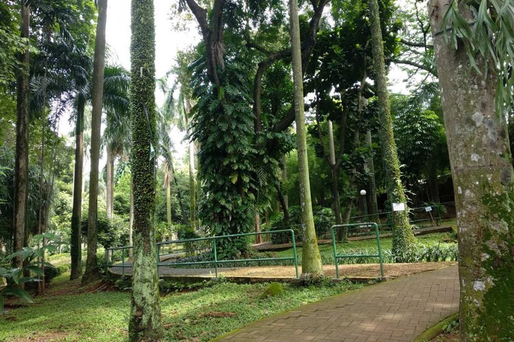Taman Langsat di Kebayoran Baru, Jakarta Selatan, Rabu (31/1/2018).