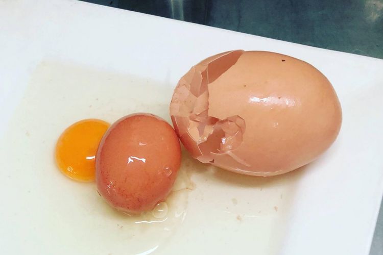 Salah satu peternakan di Australis menemukan telur beranak.