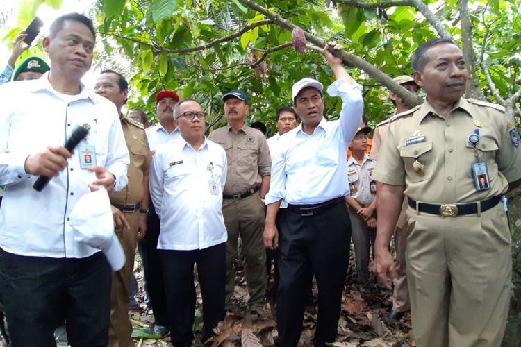 Kunjungan Menteri Pertanian Andi Amran Sulaiman ke Kabupaten Luwu, Sulawesi Selatan, Senin (11/3/2019).  Amran menjelaskan mengenai pengendalian TBK.