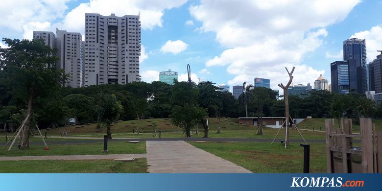 Menikmati Asrinya Hutan Kota GBK, Oase di Pusat Kota Jakarta...