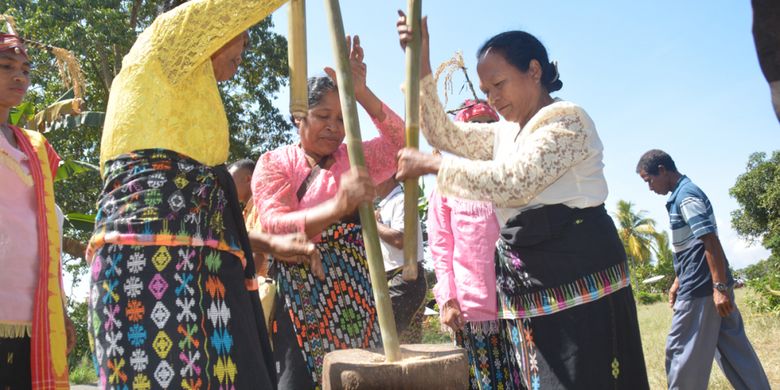 Tiga perempuan sedang laksanakan ritual Tuk Woja Wole di Mbaru Meze Suku Gunung, Kabupaten Manggarai Timur, NTT, Senin (30/7/2018). 
