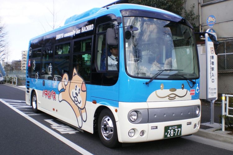 Hachiko Bus