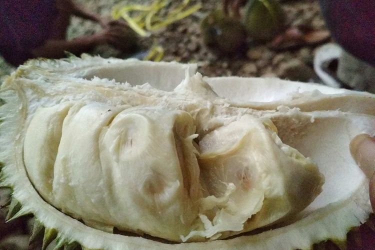Durian loji mempunyai ciri khas rasa lebih manis, ukuran lebih kecil, dan bau yang tidak terlalu menyengat.