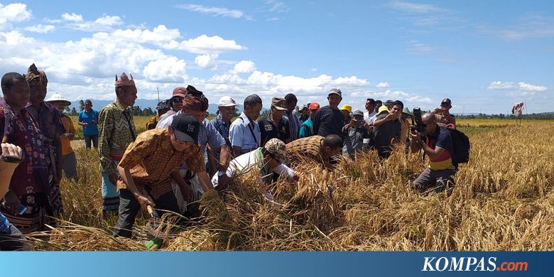 Tingkatkan Produksi Tanaman dengan Pemilihan Pupuk yang Tepat