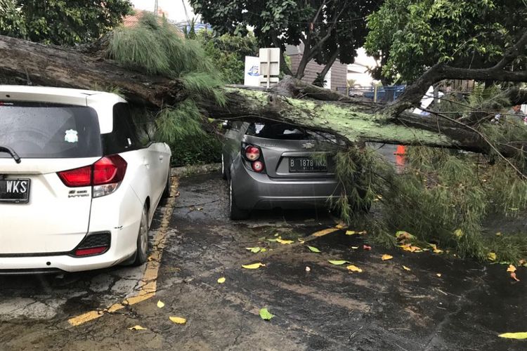 Cuaca buruk menyebabkan pohon tumbang dan menimpa mobil. 