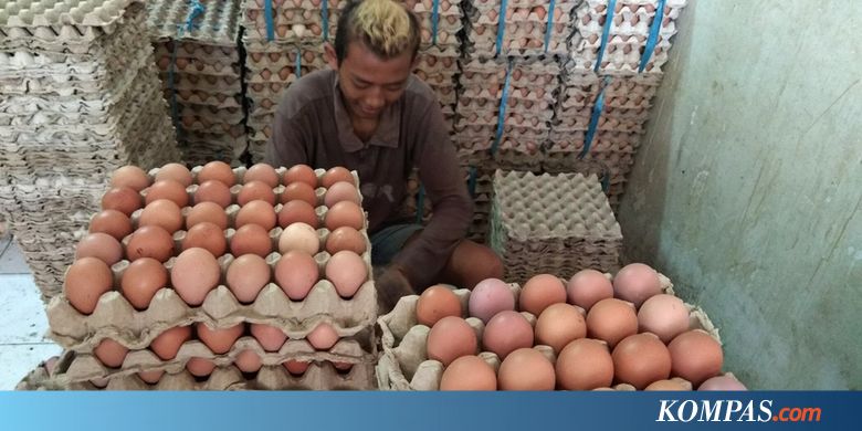 Egg Prices Rise Fry Traders Contact Egg Malaysia