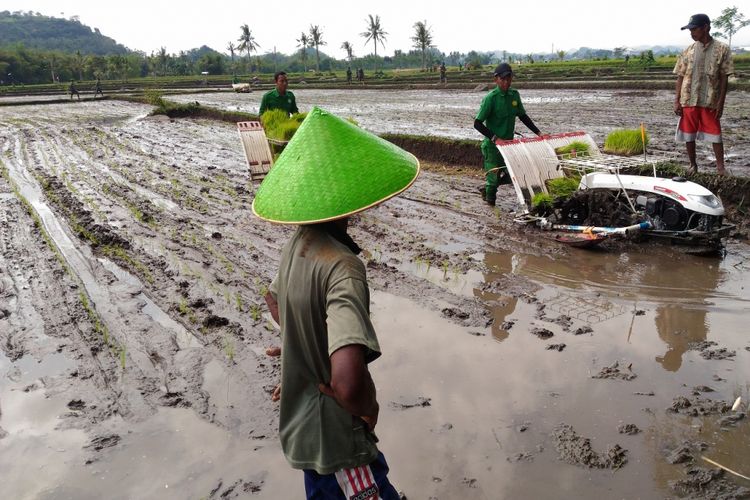 Modernisasi Pertanian untuk Sejahterakan Petani 