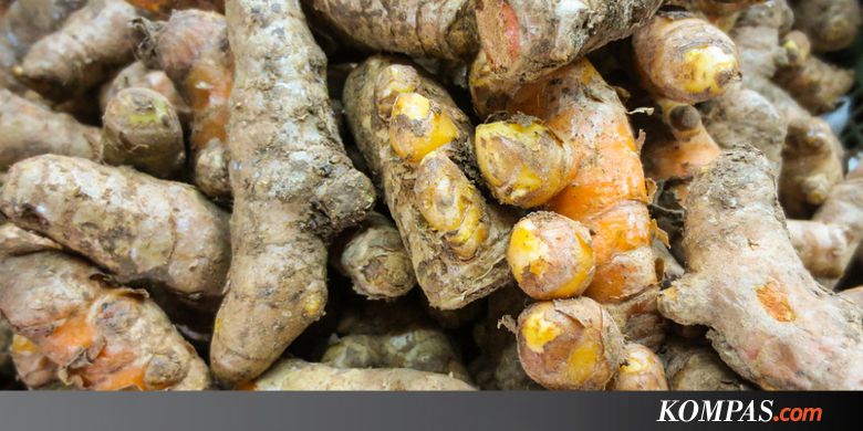 Ingin Punya Daya Ingat Tinggi Sampai Tua? Kunyit Bisa Bantu