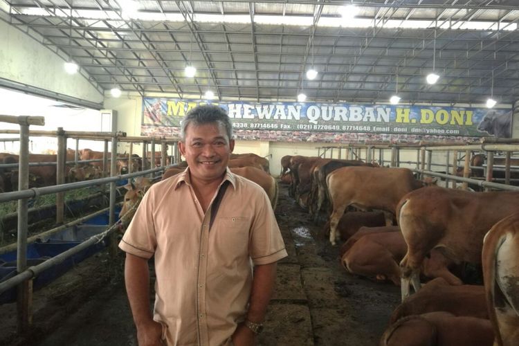 Romdoni, Pedagang Sapi dengan Omzet Rp 30 Miliar Per Bulan 