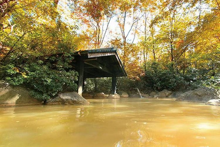 Ryokan Shinseikan / Pemandian Campuran Kobushi no Yu. Ada juga pemandian terbuka untuk wanita saja
