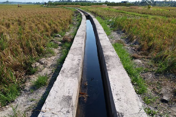 Ilustasi sistem irigasi pertanian