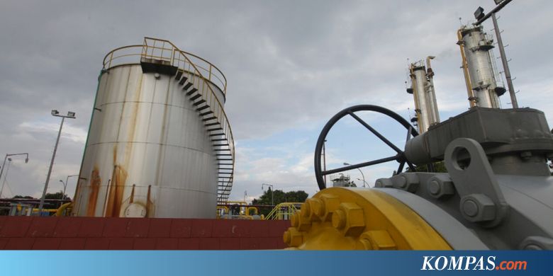 With A Gain Of 124 Percent Pertamina Ep S Net Income Reached 361 Million