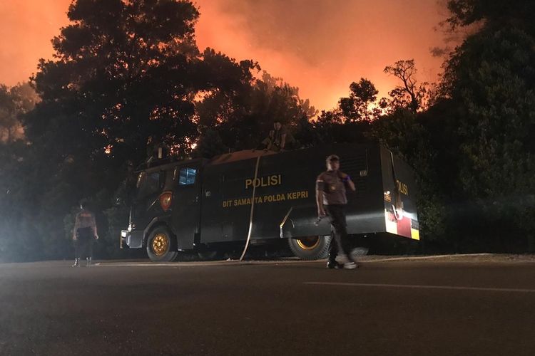 Hutan dan semak belukar yang ada di sekitar wilayah Kawasan Keselamatan Oprasional Penerbangan (KSOP) Bandara Internasional Hang Nadim, Batam, Kepulauan Riau terbakar hebat. Bahkan hingga saat ini api belum berhasil dipadamkan seluruhnya, Sabtu (24/8/2019).