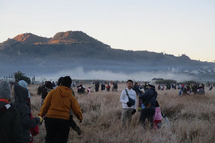 Rumput berselimut es dengan latar pegunungan Dieng
