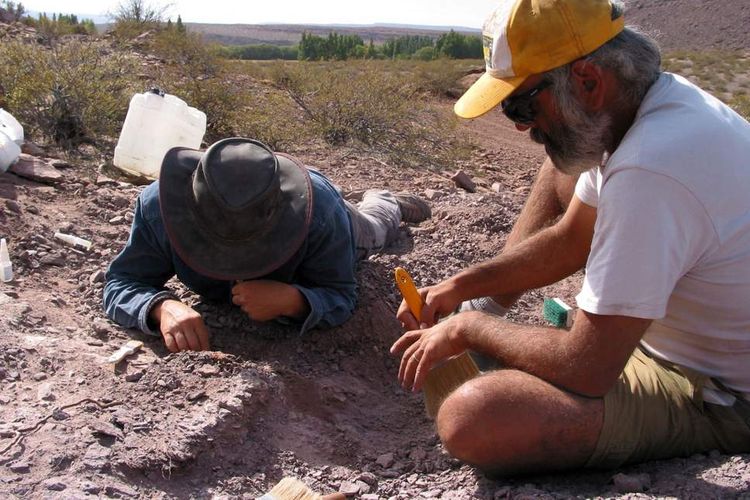 Para ahli menemukan spesies baru dinosaurus di Argentina