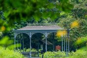5 Spot Instagramable di Singapore Botanic al Garden