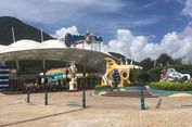 Pertama Kali Mengunjungi Ocean Park Hongkong, Simak Tips Berikut...