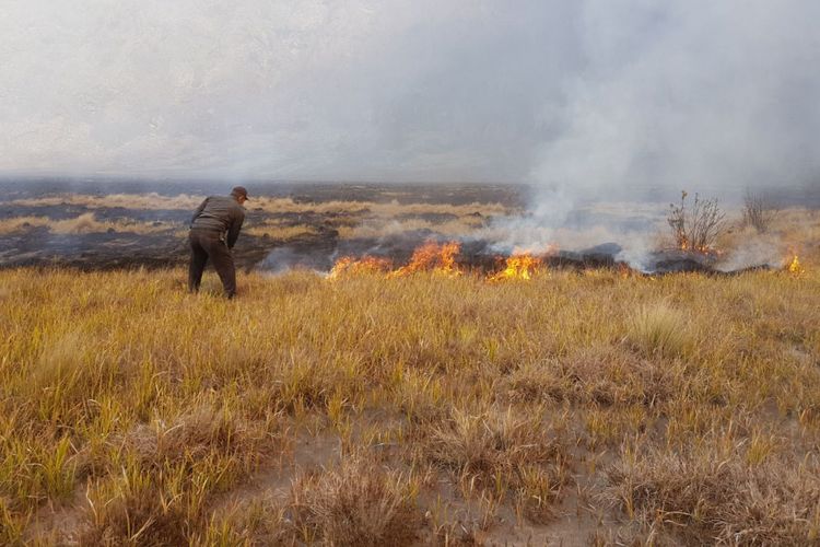 Petugas Balai Besar Taman Nasional Bromo Tengger Semeru (TNBTS) saat berusaha memadamkan api di padang rumput atau sabana Bukit Teletubbies Gunung Bromo, Jawa Timur, Senin (11/9/2017)