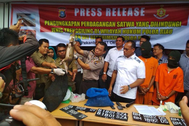 Pengungkapan hasil penyeludupan trenggiling di kantor Direktorat Kriminal Khusus Polda Riau.
