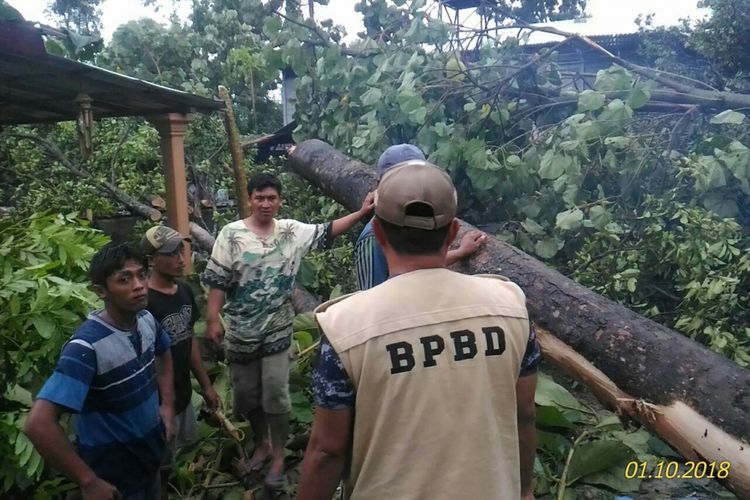 Petugas membersihkan pohon yang roboh akibat puting beliung di Kecamatan Kepung, Kabupaten Kediri, Jawa Timur, Rabu (10/1/2018).