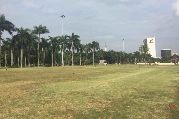 Petugas perawatan taman di Monas menyebut rumput taman di kawasan Monas mulai menguning setelah Pemprov DKI Jakarat memperbolehkan pengunjung menginjak rumput taman, Sabtu (13/1/2018).