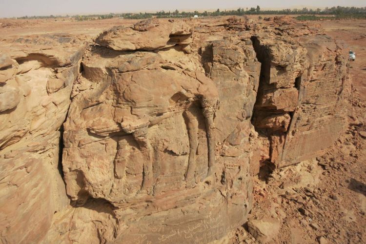 Relief unta yang ditemukan di di provinsi Al Jawf, utara Arab Saudi.